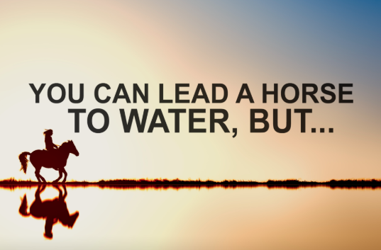 You can lead a horse to water…  but you can’t make them drink